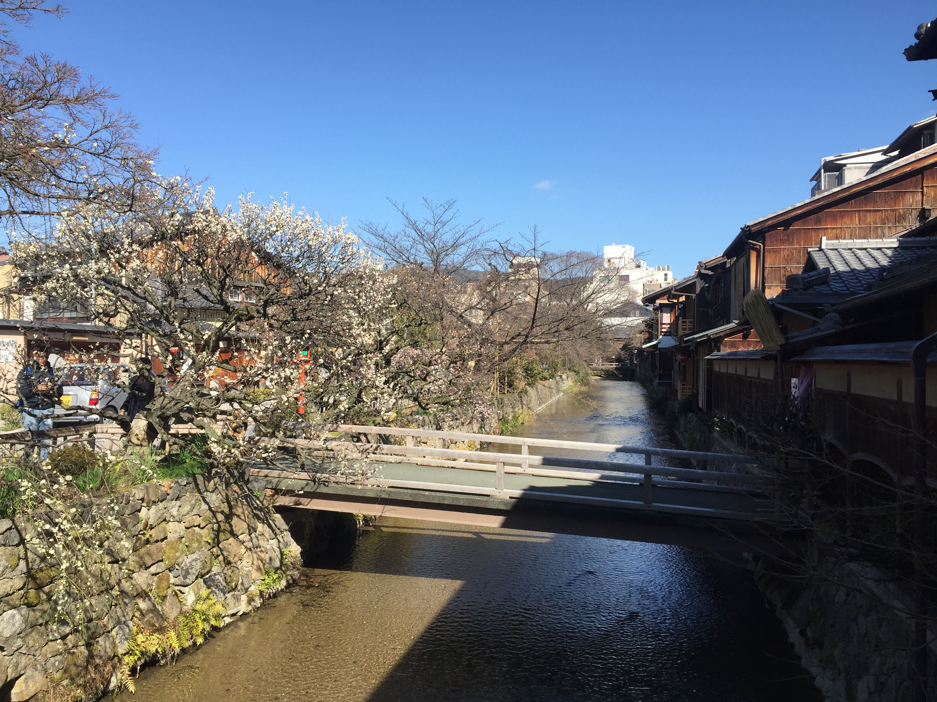 A quiet canal in Japan lined with traditional wooden houses and blooming trees, photographed during my 2018 trip.