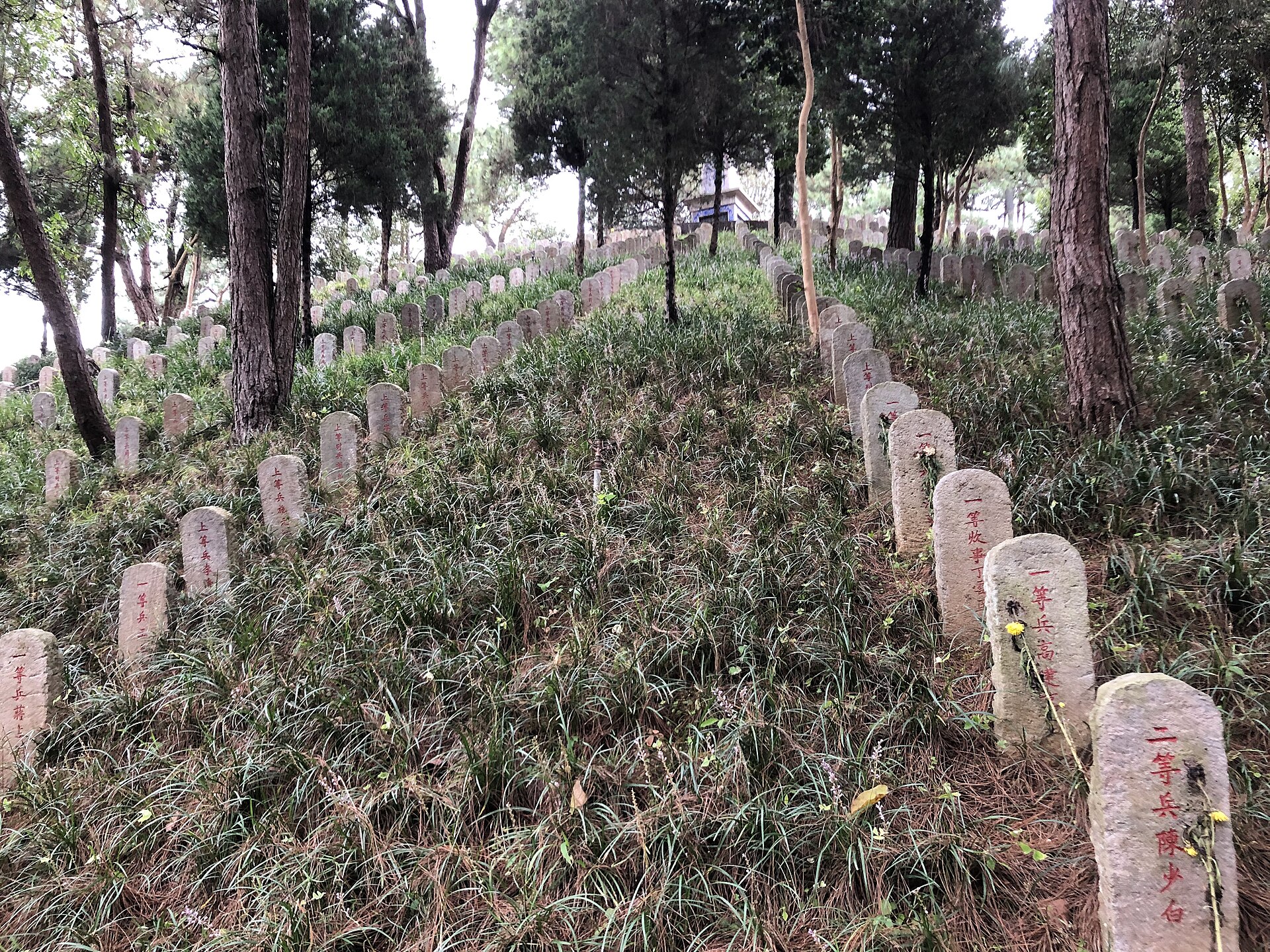 Gravestones of Chinese Expeditionary Force soldiers covering the hillside at the National Memorial Cemetery in Tengchong, Yunnan.
